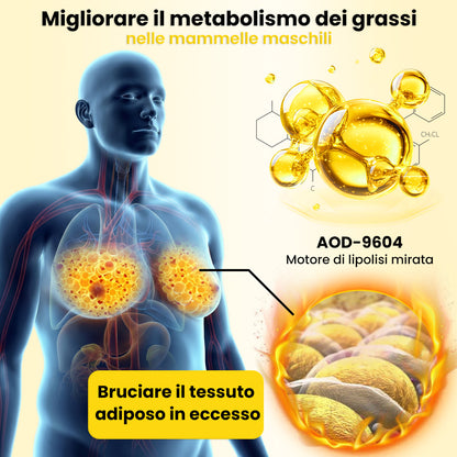Pheromex® 💪🏻Thermo Peptide Olio Scolpente per il Corpo Trattamento Rassodante per Petto e Core
